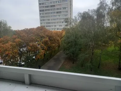 Garsoniera na Żoliborzu, w pobliżu Placu Wilsona (Kępa Potocka) - miniatura 4