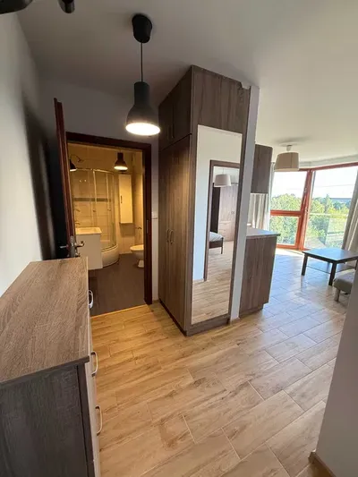 Mieszkanie 39m2, 2 pokoje, Żabiniec, bez prowizji - miniatura 3