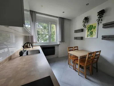 Przestronne 57 m², 2 pokoje, parking, blisko centrum / bezpośrednio - miniatura 2