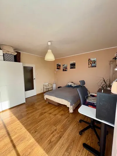 Kawalerka do wynajęcia - Poznań Winogrady - miniatura 2