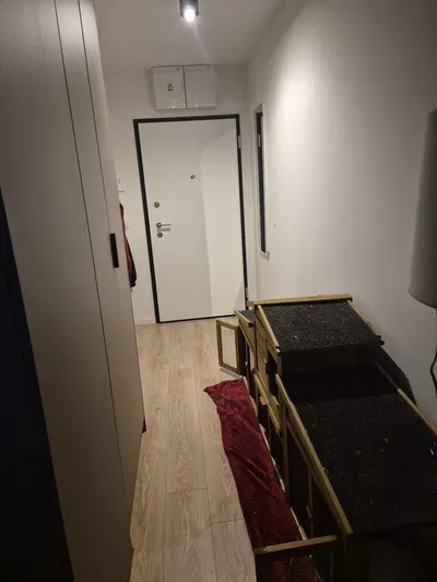 Cesja umowy ResiStudio Gdańsk (ul. Nowomiejska) – od 1 grudnia! [ZWIERZĘTA AKCEPTOWANE] - miniatura 2