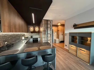 Apartament stylowy 2-pokojowy 54m² w centrum Łodzi „Biała Kamienica”, pierwszy najem, bezpośrednio. - miniatura 4