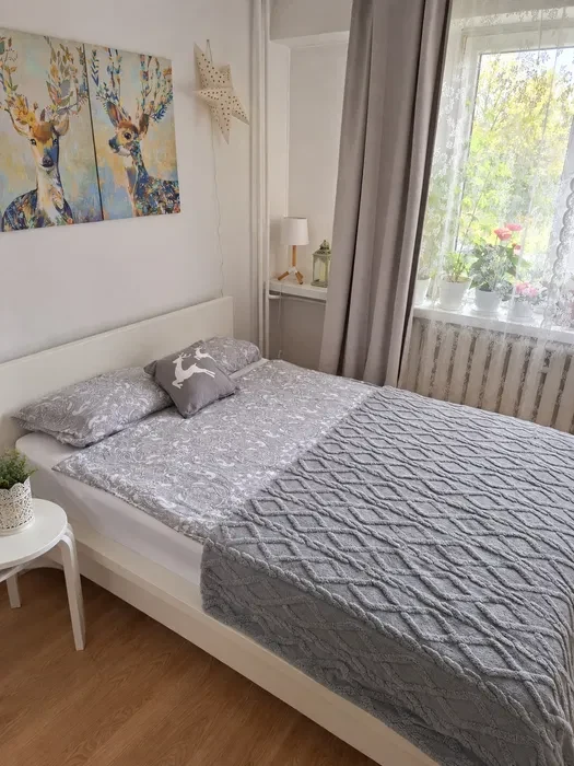 Do wynajęcia 2 pokoje, ulica Heila, Wola Duchacka - 1/8