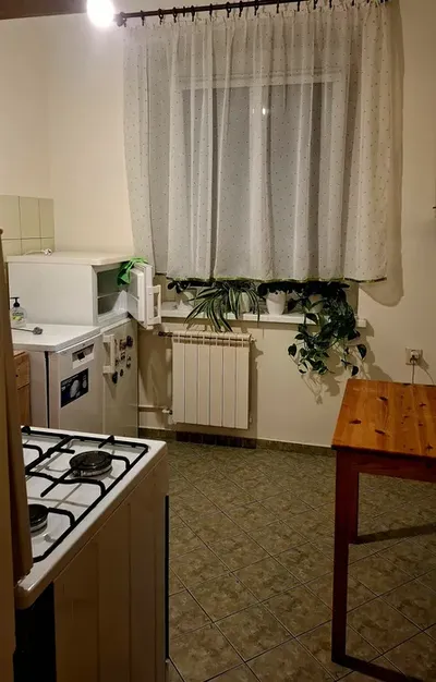 Słoneczne, 2 pokoje (56m2), z parkingiem | Nad Wierzbakiem, blisko Parku Sołackiego - miniatura 5