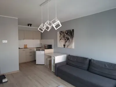 Kawalerka do wynajęcia Pomorzany