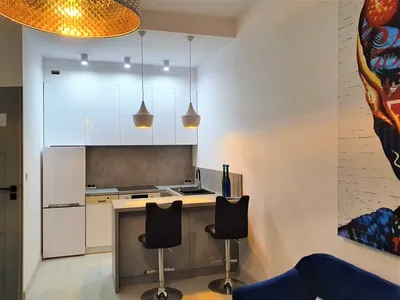 2pokoje, apartament ogrodek silownia parking Pogonowskiego, 10min od Piotrkowskiej, centrum - miniatura 4