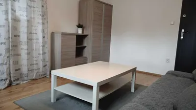 Duży pokój 15m2, os. Brzezina, blisko UMK, bez żadnych dodatkowych opłat - miniatura 4