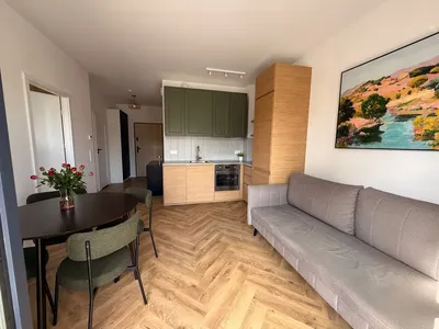 Wynajmę nowe mieszkanie 2 pokojowe - miniatura 3