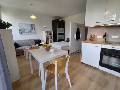 Kawalerka przy placu Sejmu Śl. Świeżo po remoncie - miniatura 2