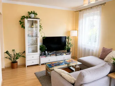 Mieszkanie50m2+OGROMNY OGRÓD, 2 pokoje +osobna kuchnia Marchołta - miniatura 4