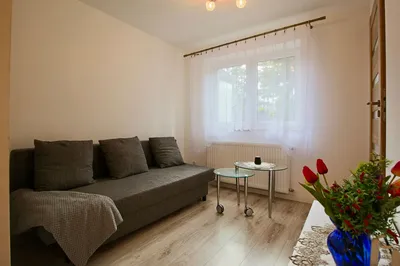 PL/RU Pets friendly / 2 pokoje / Obok Zakopiańskiej / Od zaraz / Parking w cenie / Parter - miniatura 2