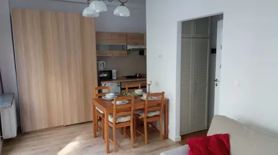 Kawalerka z dużym balkonem i widokiem na drzewa w centrum - miniatura 2
