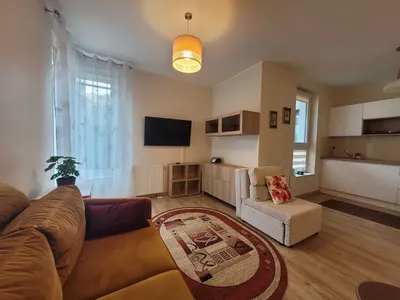 Duża kawalerka z ogródkiem na wynajem - miniatura 2