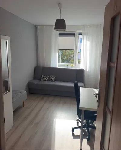 2 pokoje do wynajęcia - Piątkowo - miniatura 2