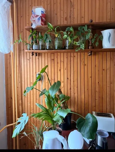 Duży pokój 25 m² z balkonem – ul. Ułanów (Konstantynów / KUL i Szpital Wojewódzki za płotem!) - miniatura 2