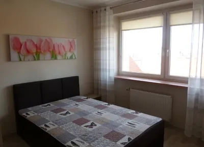 Mieszkanie 3 pok. do wynajęcia! - miniatura 3