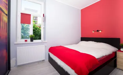 Mieszkanie 38m2 Sopot Kamienny Potok - od zaraz - miniatura 2