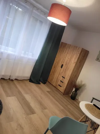 Wynajmę mieszkanie z trzema niezależnym pokojami - miniatura 4