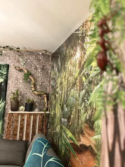 Nie kolejna kawalerka! Twoja miejska dżungla 30 m² - miniatura 2