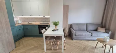 Nowe mieszkanie 33 m2 Firlika/Nocznickiego - miniatura 3
