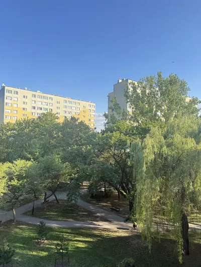 Mieszkanie 3-pokojowe z balkonem - zielony LSM - miniatura 2