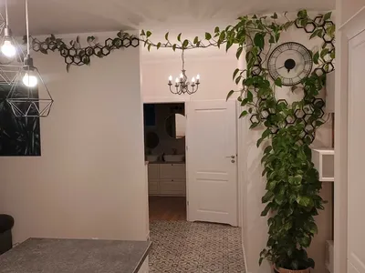 Mieszkanie 3-pokojowe 70 m² | Opole, ul. Krapkowicka | Wolne od zaraz - miniatura 3