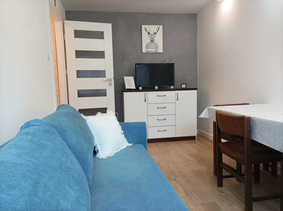 2 pokojowe mieszkanie na wynajem - 30 mkw, ul. Podchorążych, Rzeszów - 1/8
