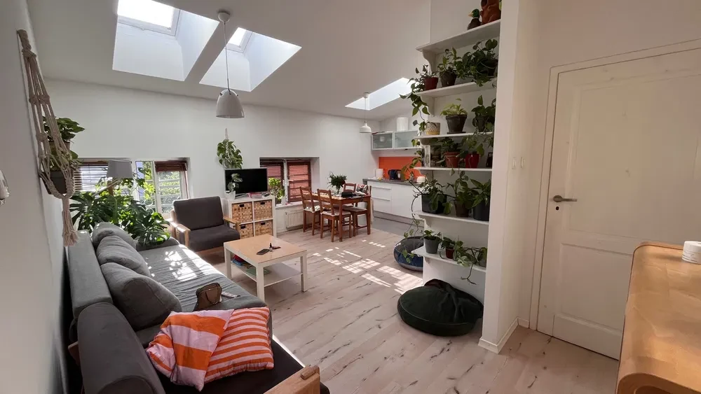 49 m² | 2 pokoje | Łazarz | osobna sypialnia | zwierzęta mile widziane - 1/6