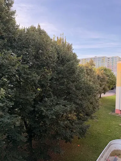 2 pokoje, 49 m² duży balkon 2. piętro Piątkowo, os. Chrobrego - miniatura 5