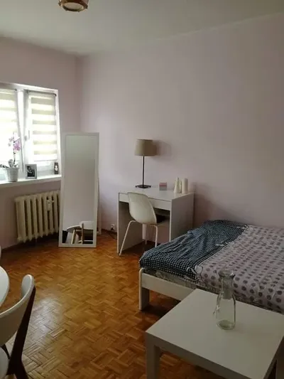 Kawalerka do wynajęcia - miniatura 2