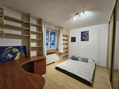 Kochanowskiego 58m 2 pokoje garaż taras przyjazne zwierzakom - miniatura 4