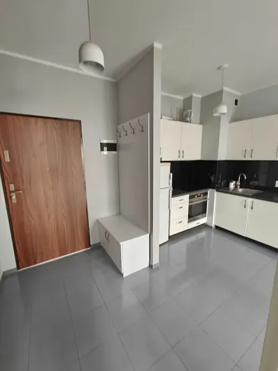 do wynajęcia 2-pokojowe, 40 m2, ul. Hawelańska, Winogrady - miniatura 3