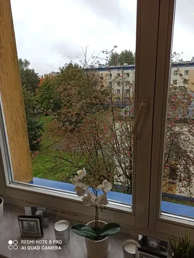 Mieszkanie do wynajęcia - miniatura 4