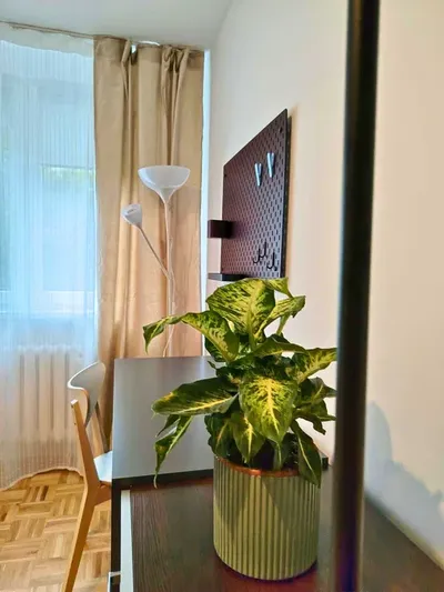 Przestronny pokój 800 metrów od Uniwersytetu Ekonomicznego - miniatura 4
