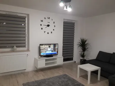 Kawalerka na wynajem, 25 m² Dziesiąta, Nowy Świat - miniatura 2