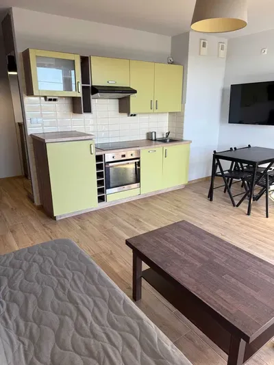 Mieszkanie 39m2, 2 pokoje, Żabiniec, bez prowizji - miniatura 4