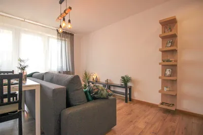 2 pokoje ul. Mikołajczyka 2, balkon, pies/kot akcept, siatka na balkonie - miniatura 3