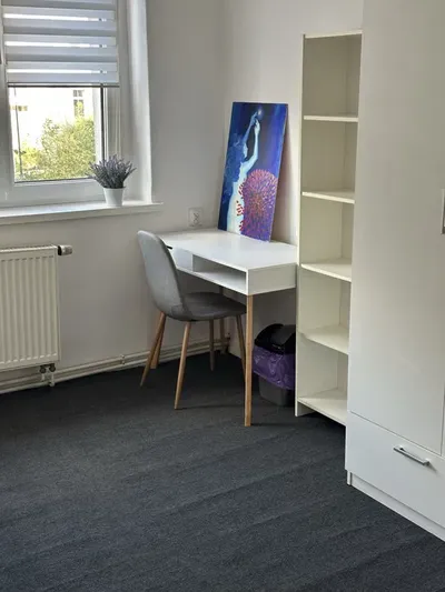 Wynajmę pokój 1osobowy w ścisłym centrum ul. 1 Maja, naprzeciwko dworca PKP Opole - miniatura 3