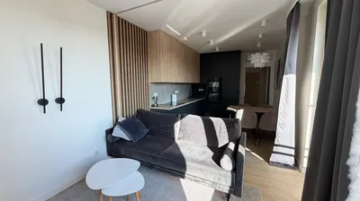Do wynajęcia 3-pokojowe mieszkanie I Klimatyzacja I Balkon - miniatura 2