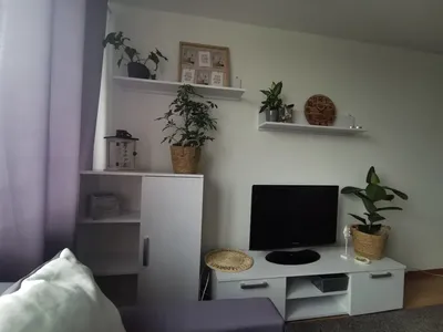Mieszkanie dwupokojowe - Katowice obok Spodka CENTRUM - OKAZJA - miniatura 4