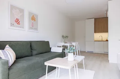 Nowe 3 pokoje bezpośrednio, przyjazne dla zwierząt!