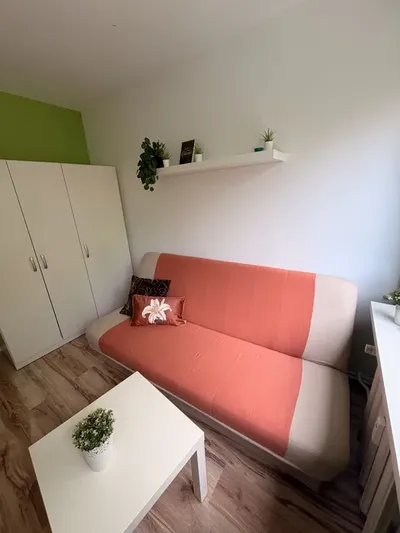 Środek UWM, dla studentów. Przerwy we własnym pokoju. Bliżej się nie da. - miniatura 3