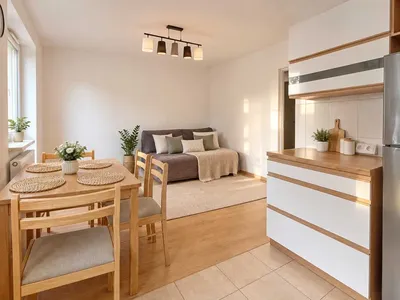 salon z kuchnią+sypialnia na ul. Wodnej-Płaszów - miniatura 2