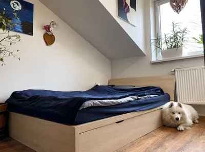Odświeżone 2 pokojowe mieszkanie | ul. Wrocławska - miniatura 4