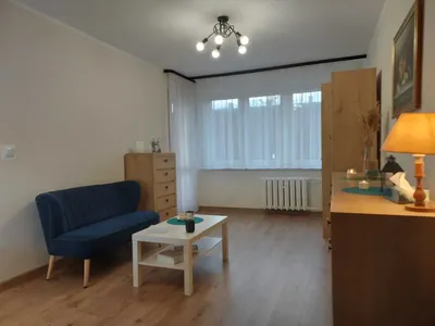 Kawalerka 30,5 m² | po remoncie | balkon | ogród | centrum - miniatura 2