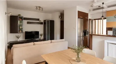 Mieszkanie 2 pokoje 48m - miniatura 4