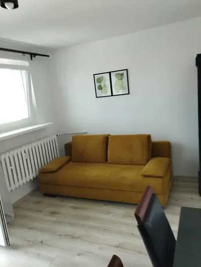 Duży jasny pokój na wynajem blisko UMK od zaraz