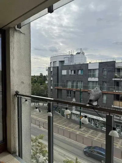 Kościuszki 71 / mieszkanie 50m2 / blisko centrum