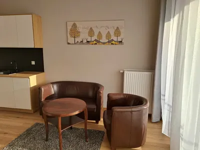 Kawalerka z oddzielną sypialnią - miniatura 3