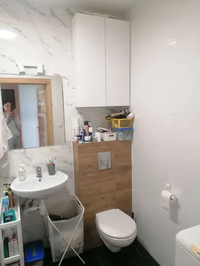 Mieszkanie 3 pokoje/bezpośrednio/Pilsudskiego/Rataje/tereny zielone - miniatura 5